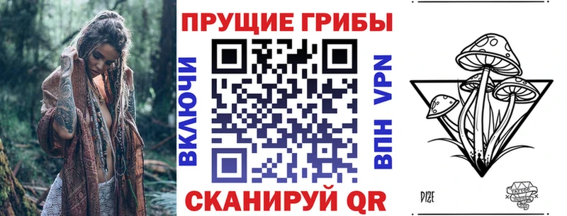 где продают наркотики  Костомукша  Галлюциногенные грибы Psilocybine cubensis 